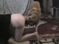 Lady teaching a dog xxx how to fuck a dirty butthole